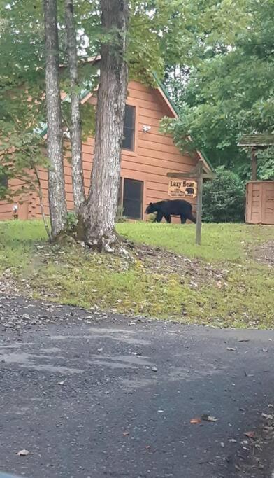 Lazy Bear Cabin Sevierville Luaran gambar